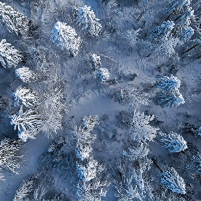 La Prairie - Piste bleue de ski nordique