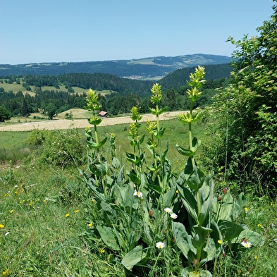 Derrière le Mont