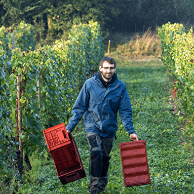 Domaine d'Ici là