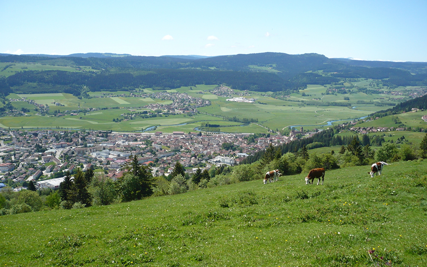 Mont-Vouillot depuis Morteau