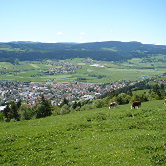 Mont-Vouillot depuis Morteau - MORTEAU