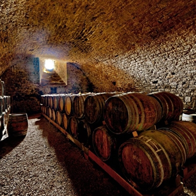 Bulles et balade