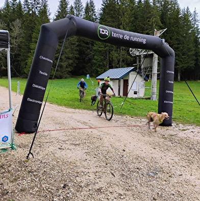 Canicross - Les grenouilles sur un plateau