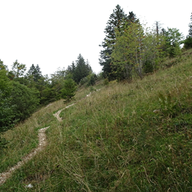 Randonnée pédestre : sur les traces des passeurs