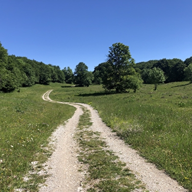 Parcours VTT 15 noir - Le grand tour du plateau de Retord - Espace FFC Ain Forestière