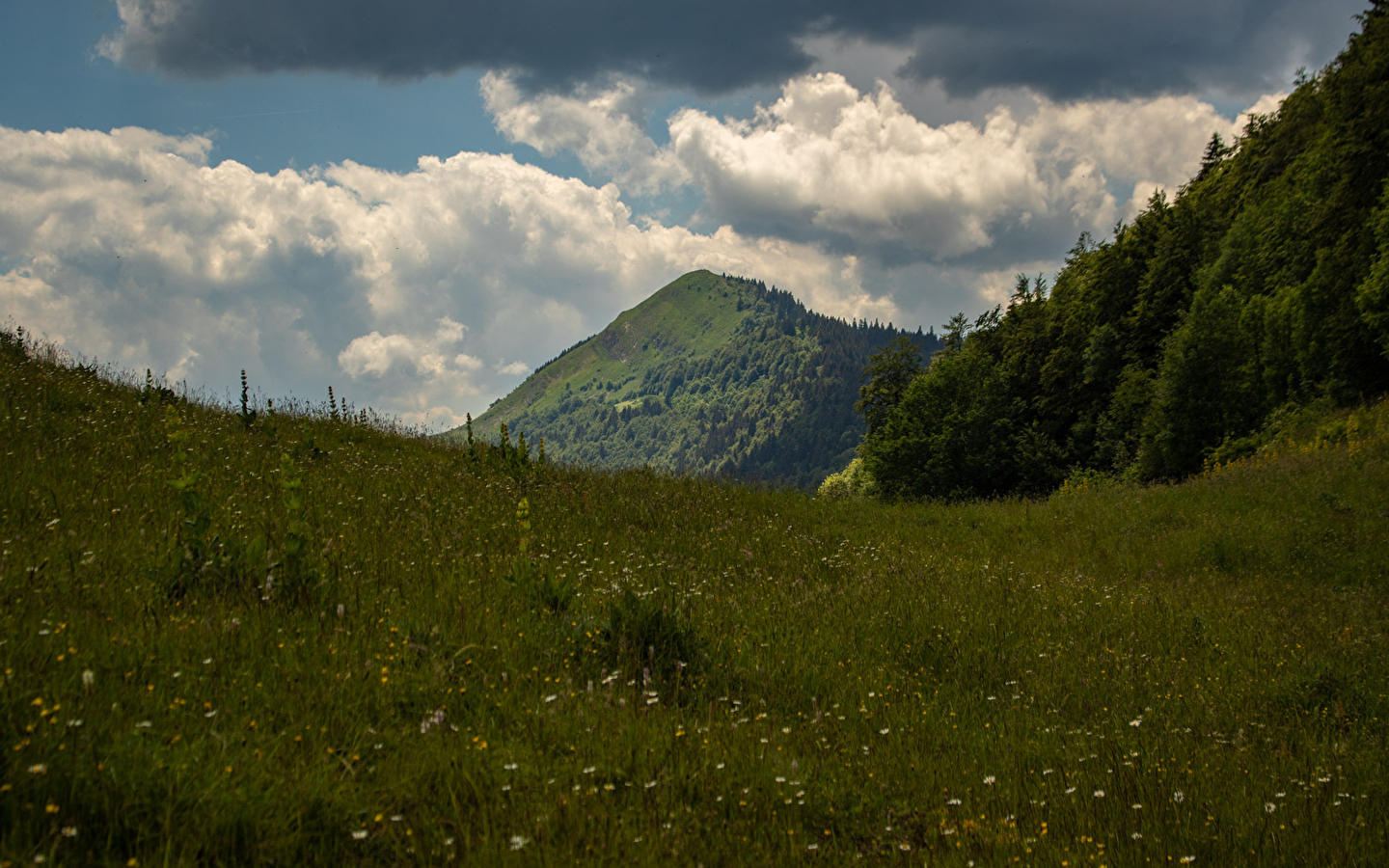 Randonnée pédestre - Crêt de Chalam depuis Forens