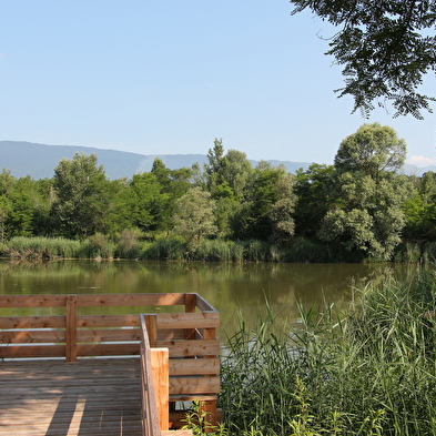 Le Marais de l'Etournel