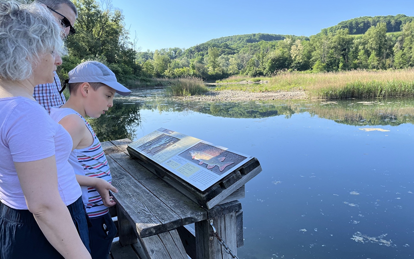 Le Marais de l'Etournel