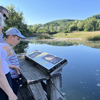 Le Marais de l'Etournel - POUGNY