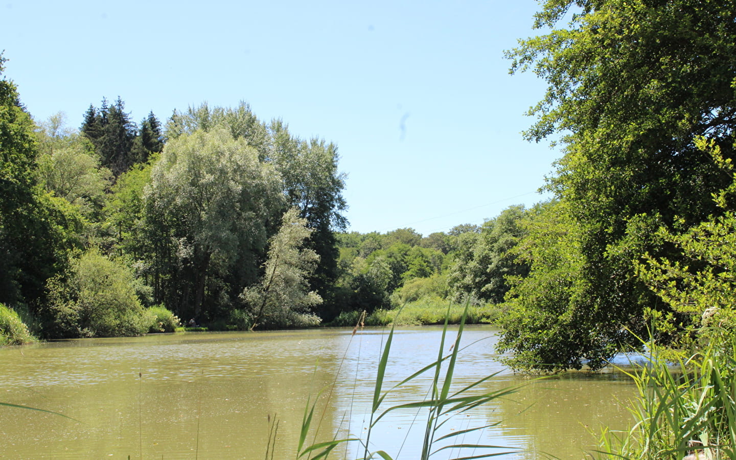 Circuit des étangs des Princes