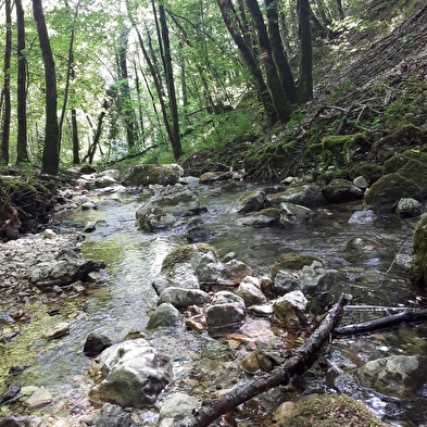 Balade contée : les rencontres sauvages de la rivière