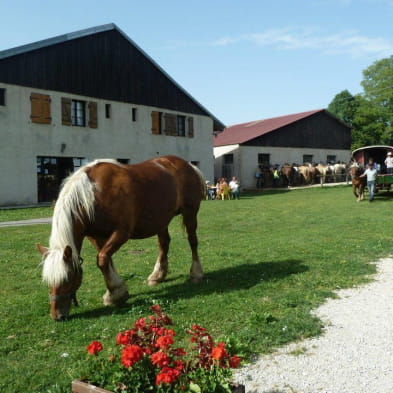 En famille à la campagne à la découverte des animaux