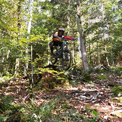 Navettes sur le Bike Park