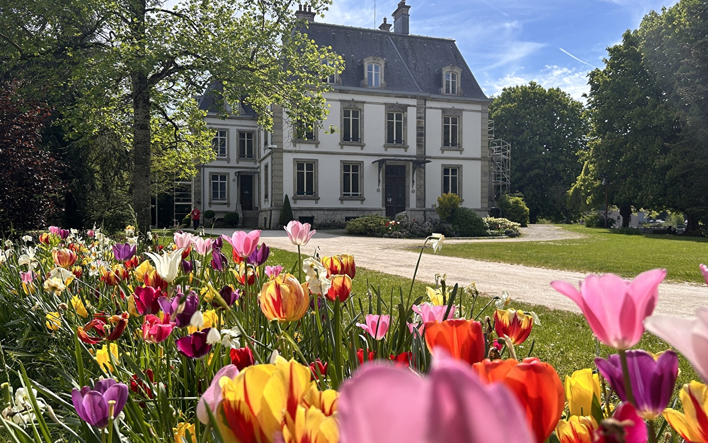 Visite guidée : Centre d'Art d'Audincourt - Donation Patt