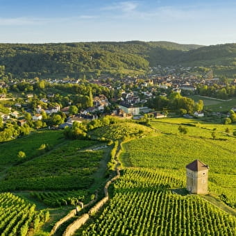 L'Échappée Jurassienne dans le vignoble - PORT-LESNEY