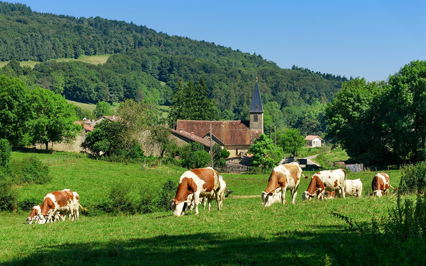 GR 9 de Saint-Amour à Mijoux