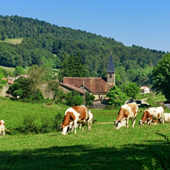 GR 9 de Saint-Amour à Mijoux - SAINT-AMOUR