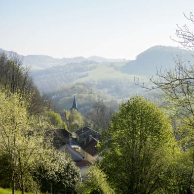 Les ouvrages fortifiés : Fort de Pugey