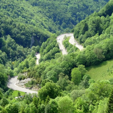 Au coeur du Parc naturel regional du Haut-Jura