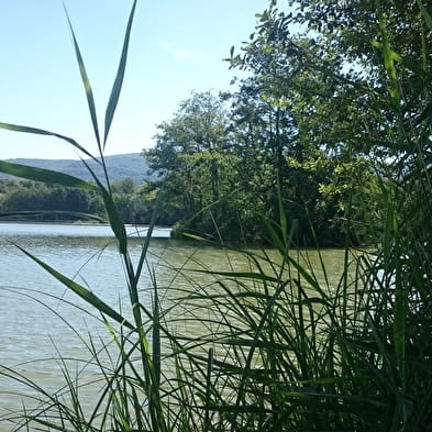 Domaine de pêche à l'étang de la Grange du Pin