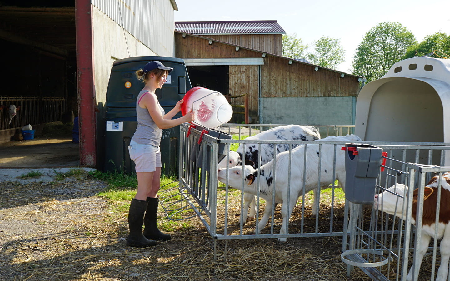 Visite de ferme