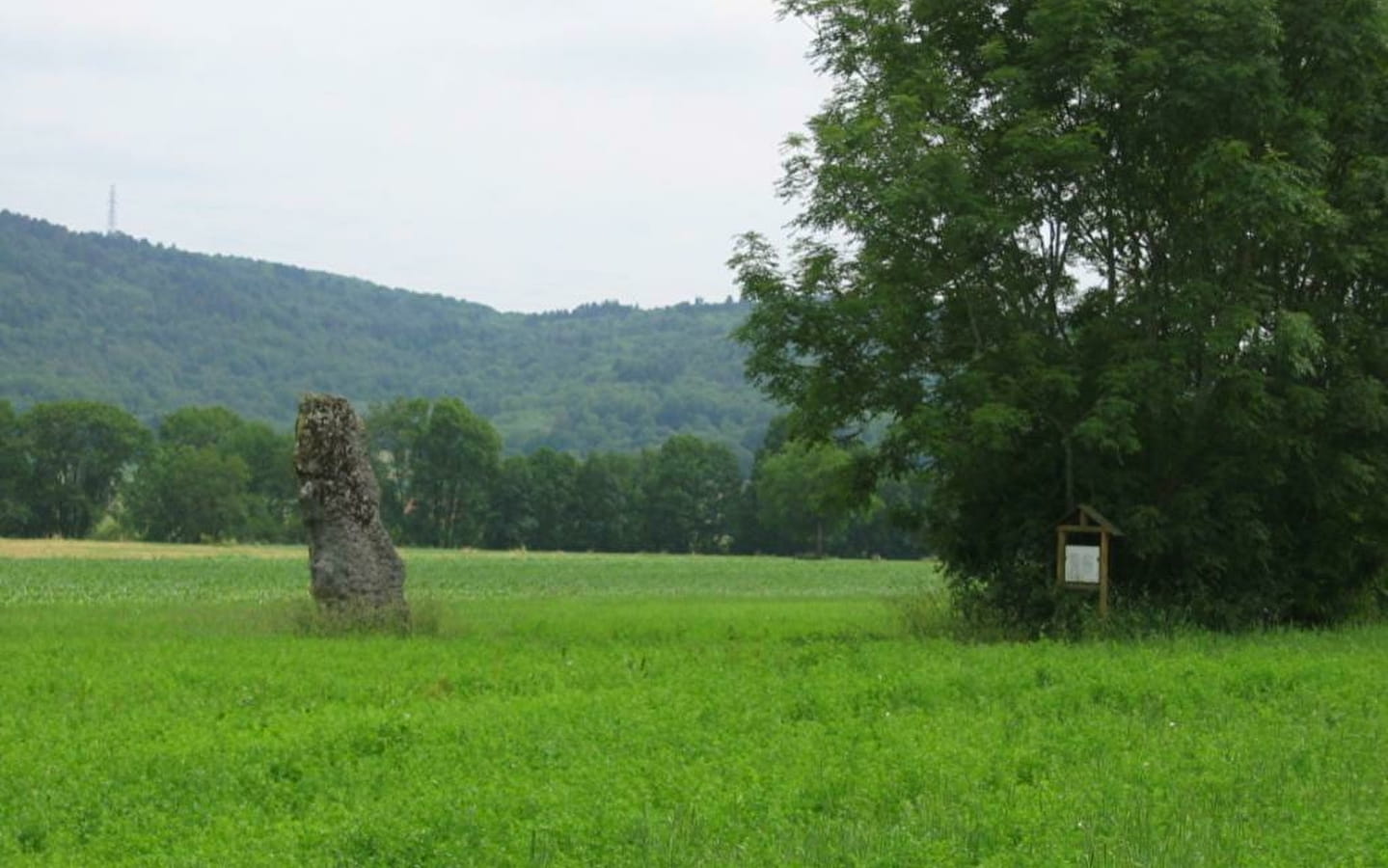 Menhir de pierre