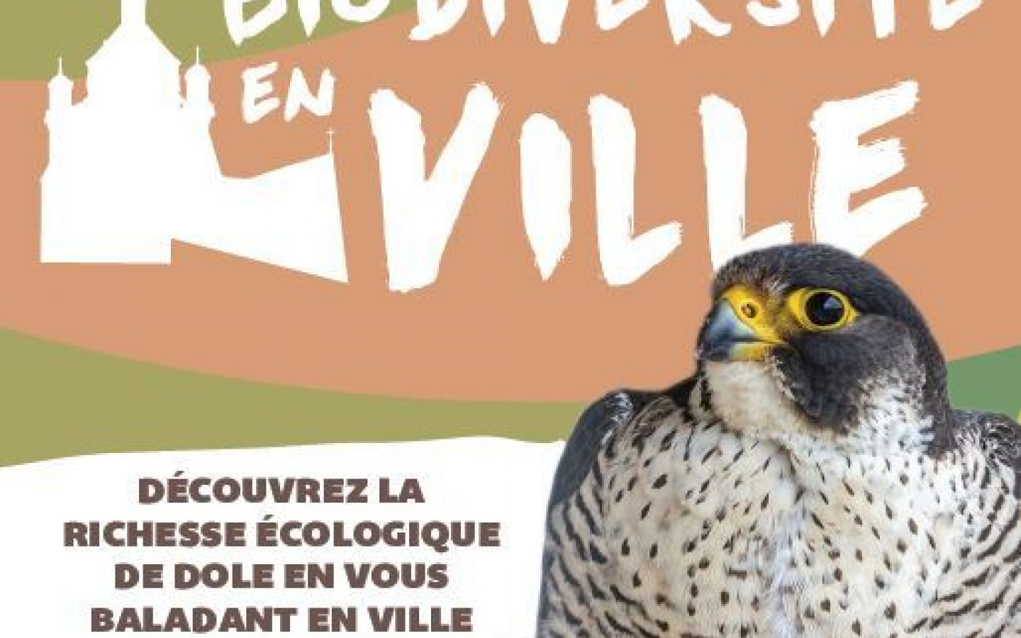 Biodiversité en ville - La nocturne