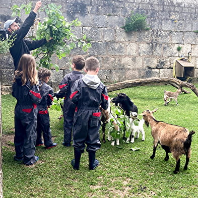 Demi-journée soigneur à la Citadelle