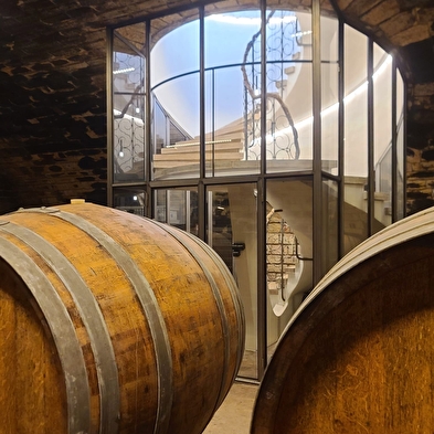 Du laboratoire au vignoble : sur les traces de Pasteur en Arbois 