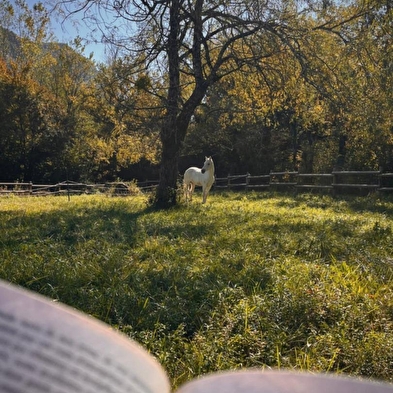 Gîtes du Lac -Le Seran