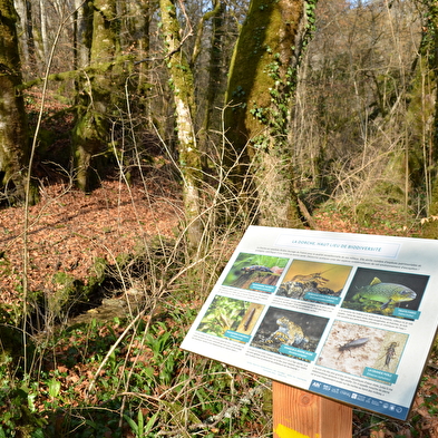 Au fil de la Dorche sauvage - sentier thématique pédestre
