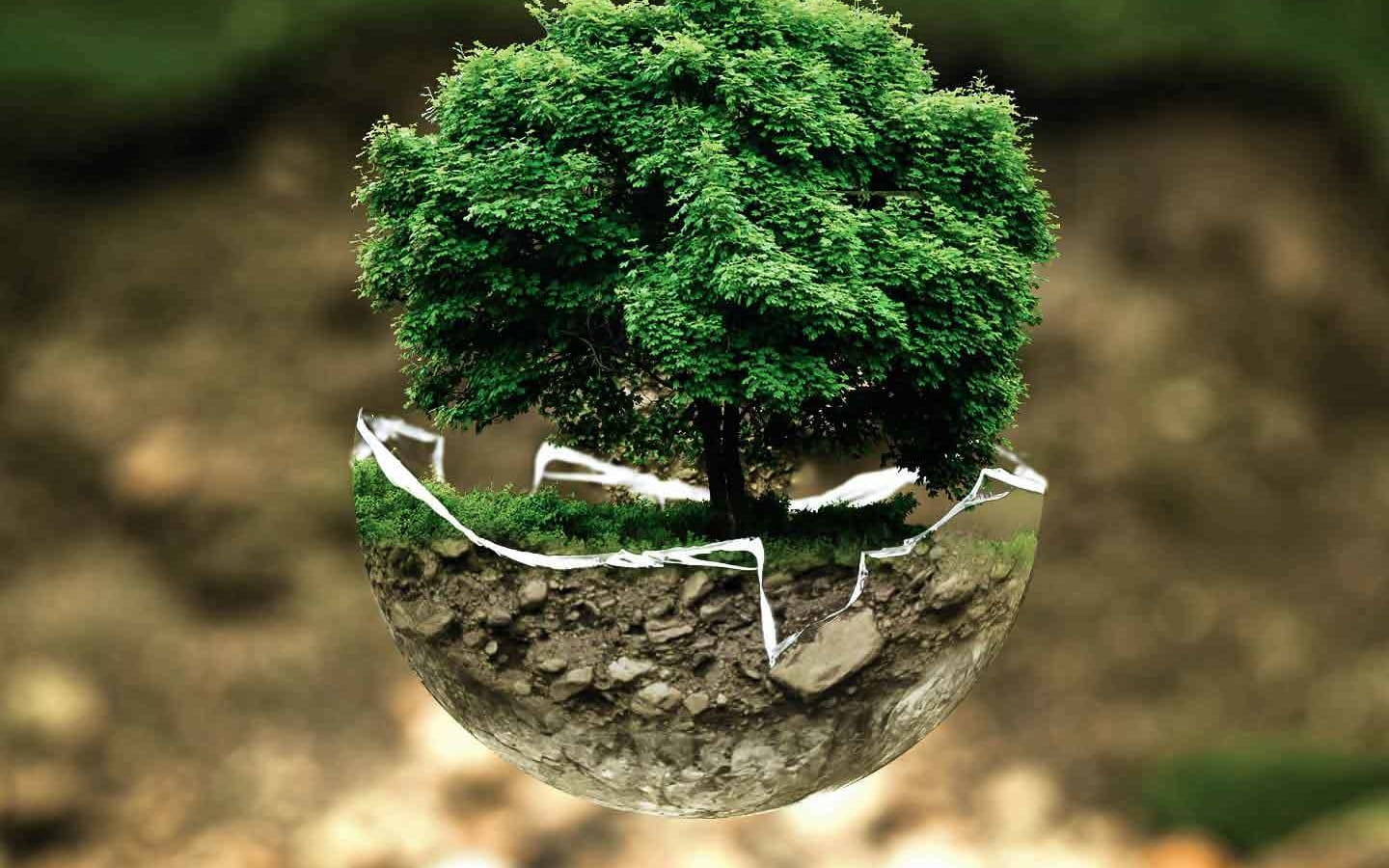 Atelier 123 nature : Crée ton arbre
