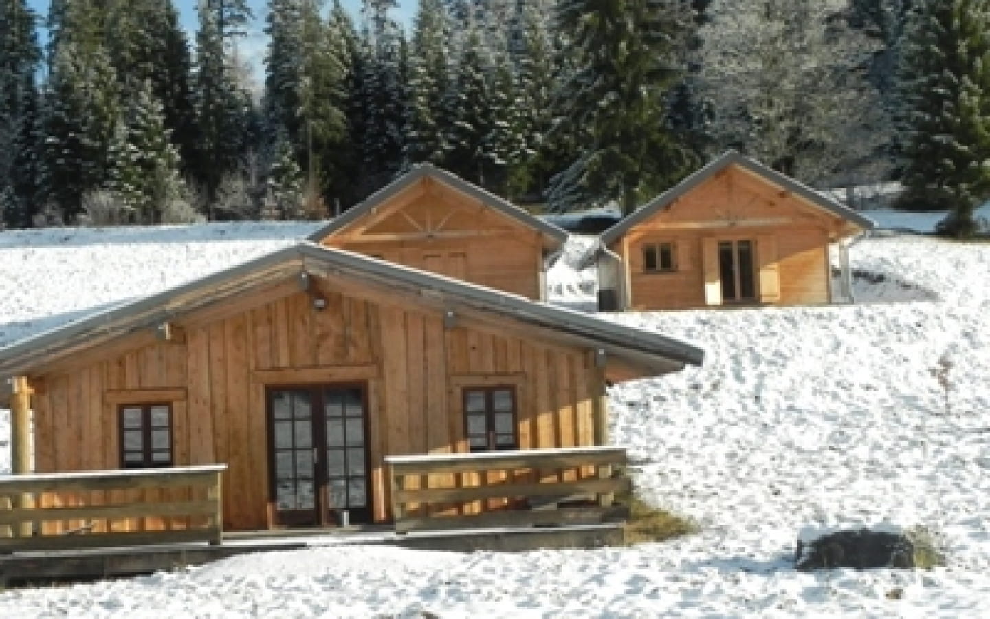 Chalet Chez Liadet - Edelweiss