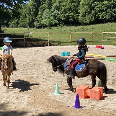 Gaïa Loisirs - Equitation autour de balades, stages et cours pour tous !
