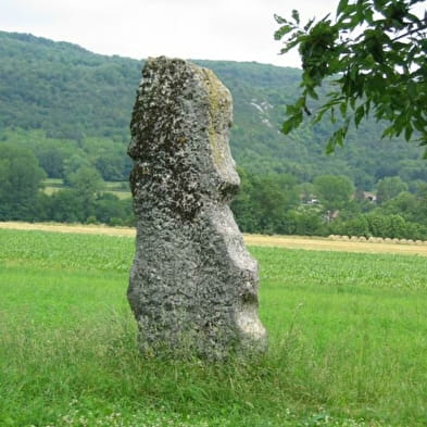 Menhir de pierre