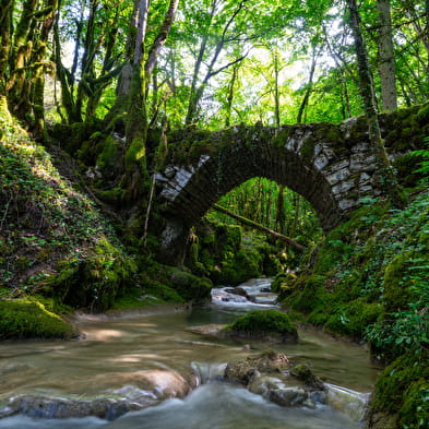 Cascade de la Quinquenouille