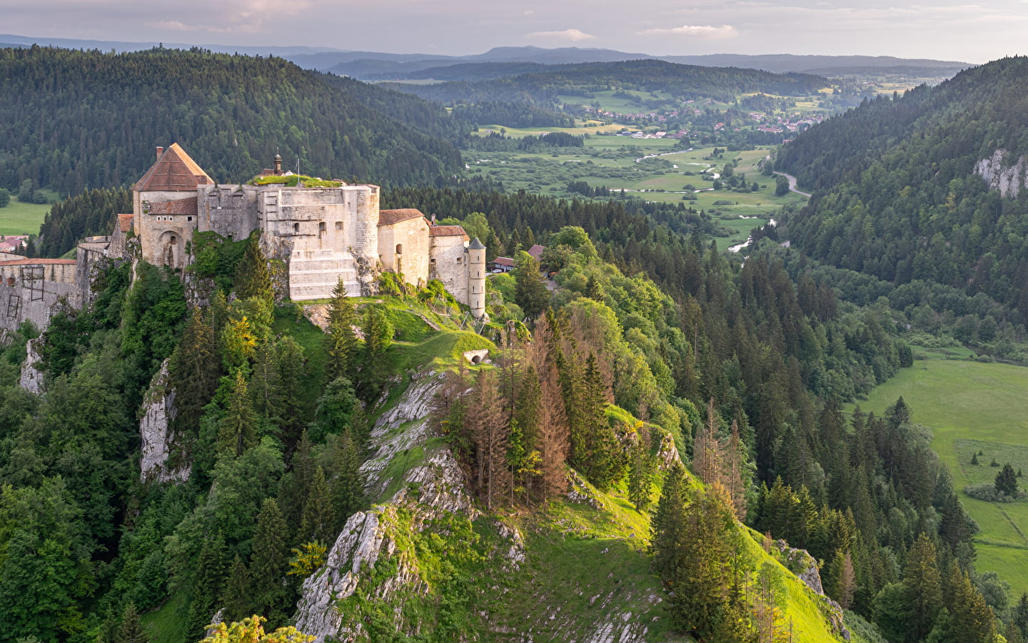 Château de Joux