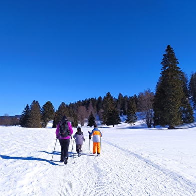 Sentier raquettes La Chouette