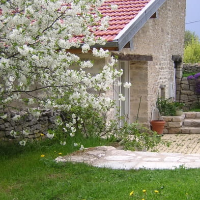 Auprès des Vignes