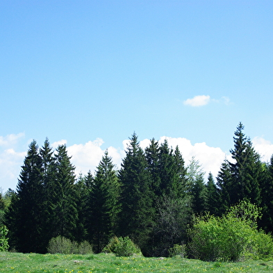 Le Massif - n°8