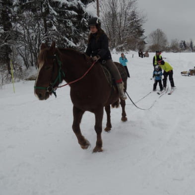 Ski Joëring et activités équestres pour tous - Ferme équestre de la Pelaisse