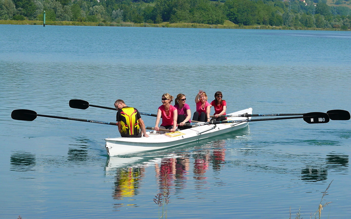 Aviron handicap