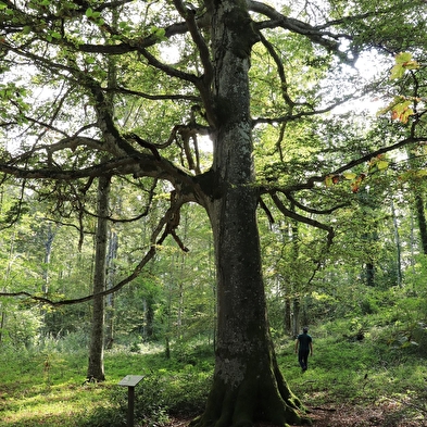 Les rochers de Taporal