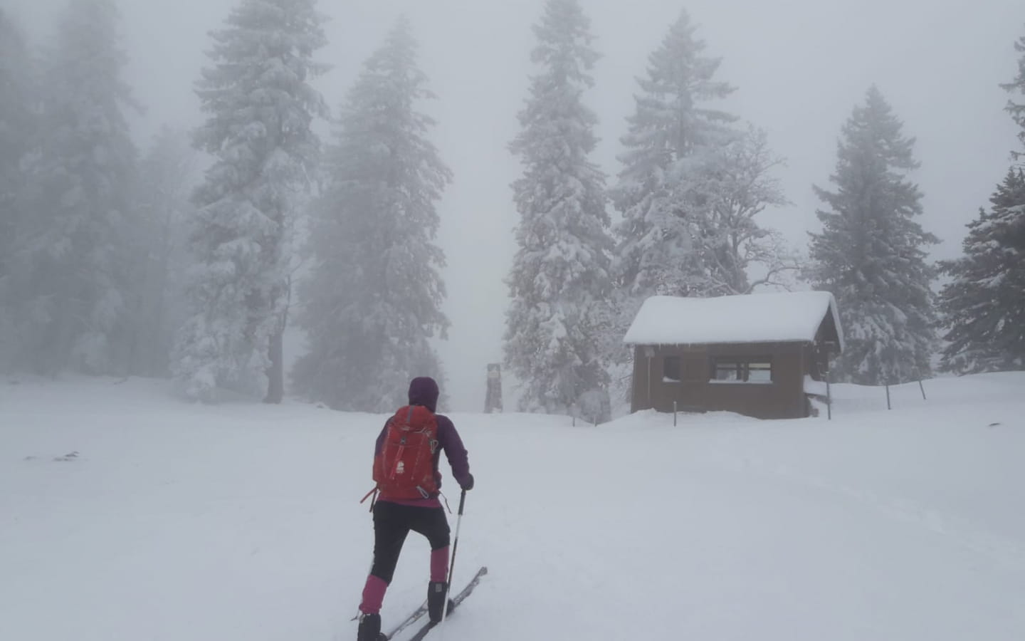 Rando familiale en raquette ou backcountry