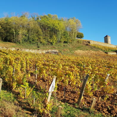 Tour du Jura Vélo Loisirs