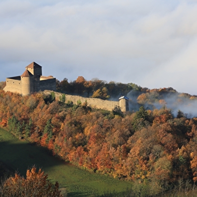 Château des Allymes