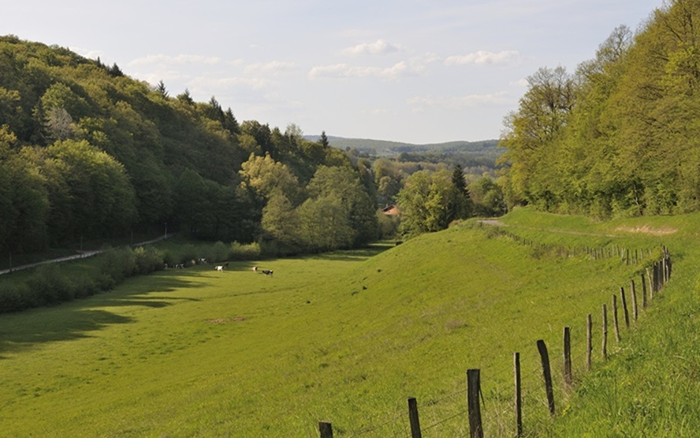Montagnes du Lomont