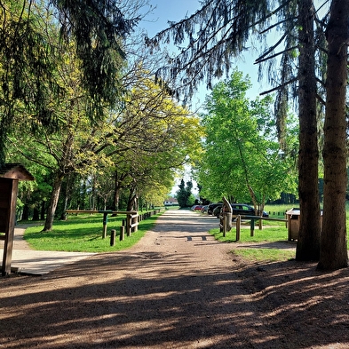 Circuits de randonnée pédestre de la forêt de Rothonne