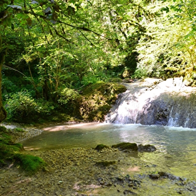 La Quinquenouille