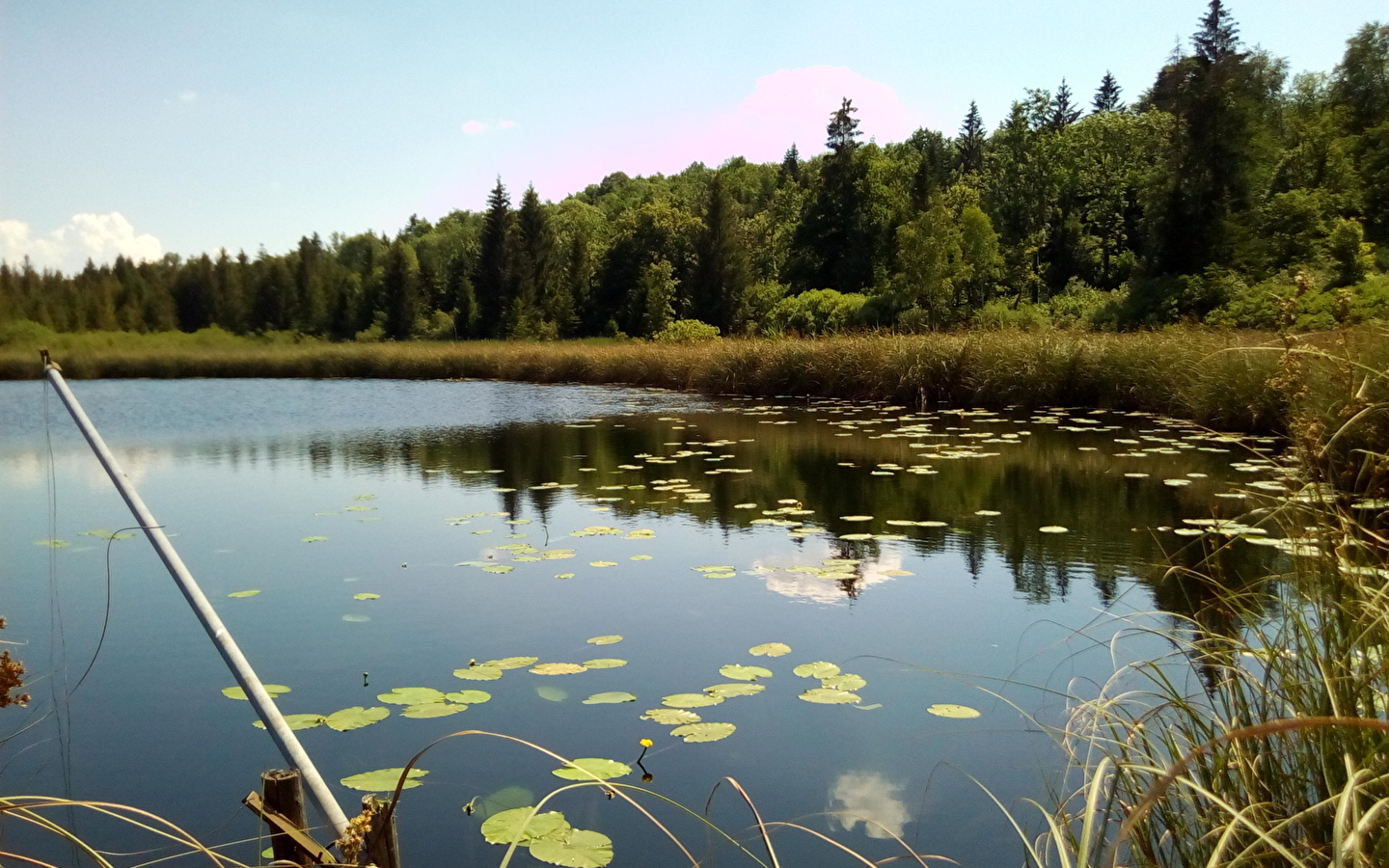 Du Lac d'Onoz aux berges du Lac de Vouglans